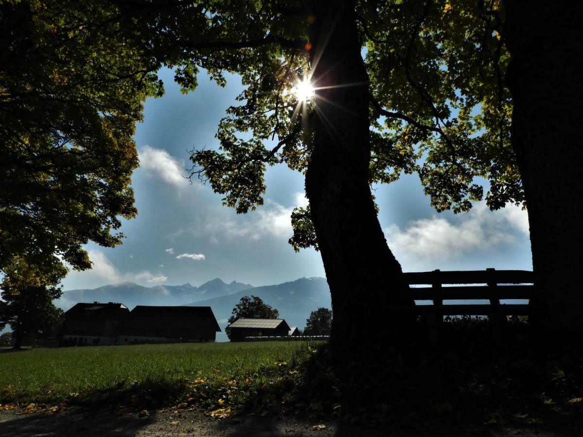 Apartamento Eggerhof Ramsau am Dachstein Exterior foto